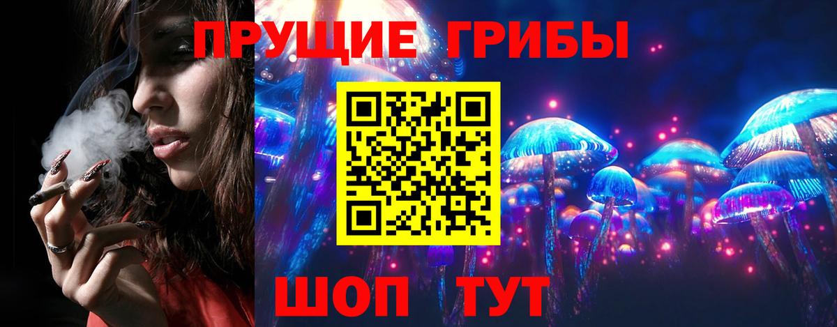 Псилоцибиновые грибы Psilocybine cubensis Нижнеудинск